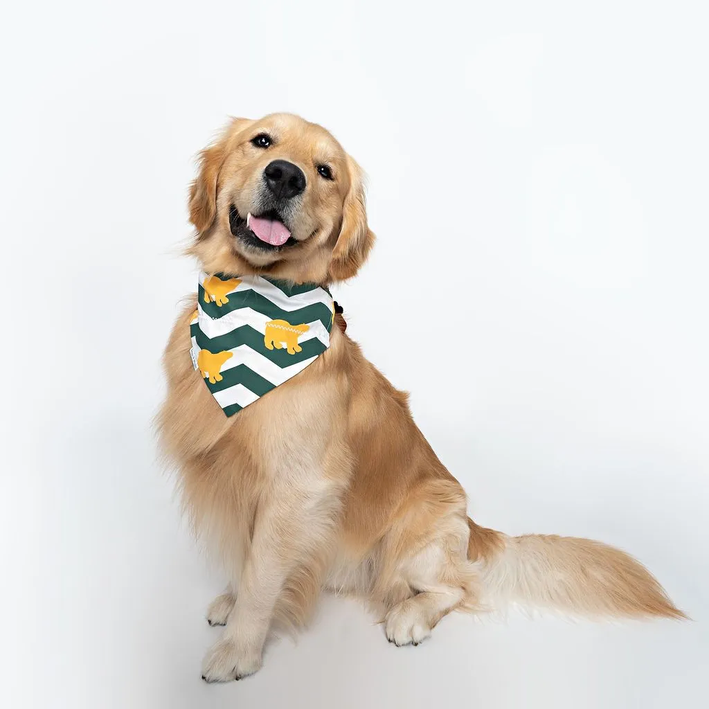 Baylor Bears Reversible Dog Bandana - Green & Gold Style.