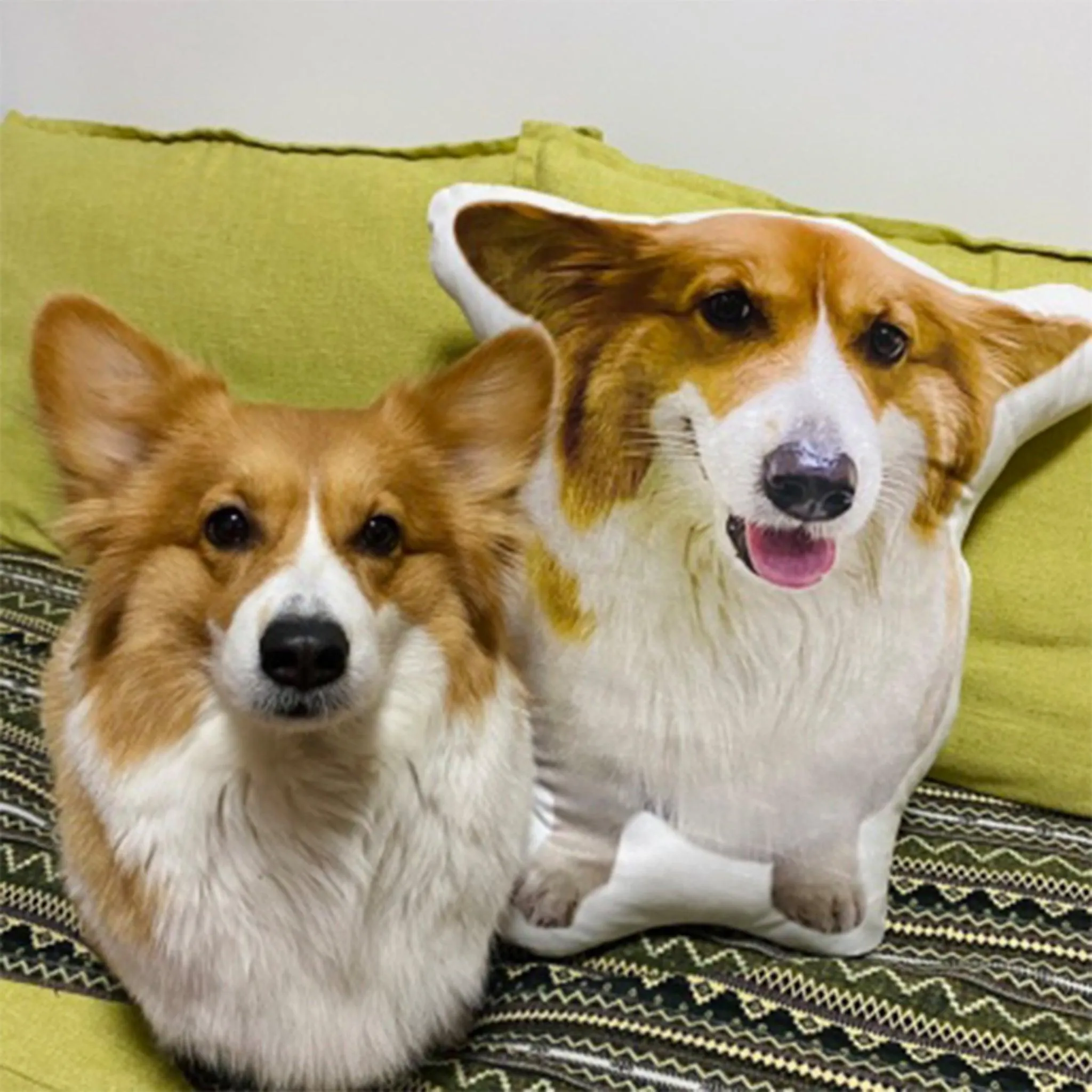 Custom Pet Pillow